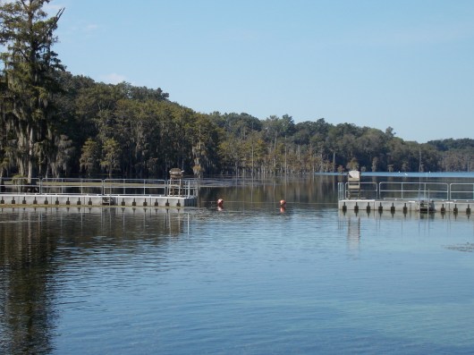 039 Jackson Blue Springs-Howard-Diving-2012-21-12