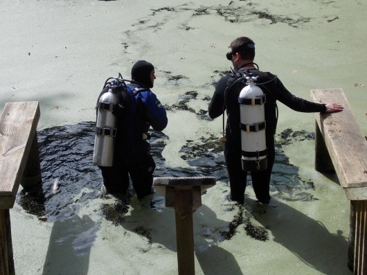 17-Manatee- Springs-FUN-Dive-2013-10-20