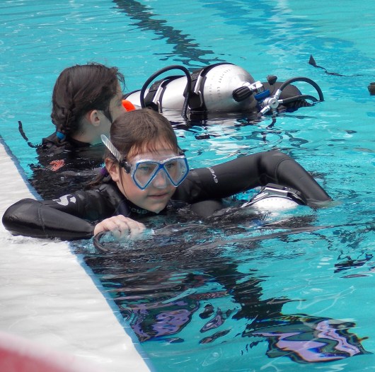 14=050-Fowler-2013-11-26