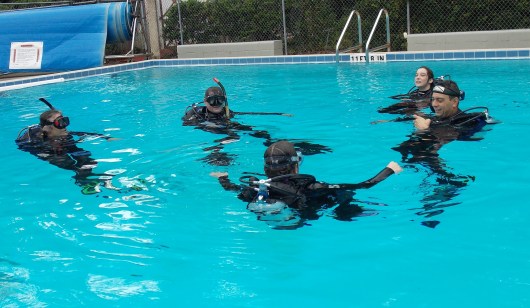 3=006-Fowler-2013-11